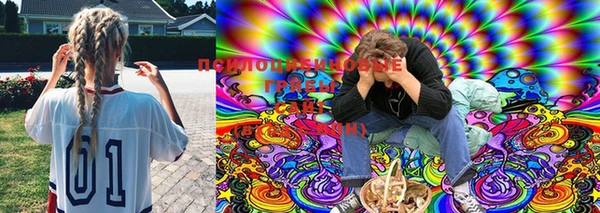 PSILOCYBIN Алзамай