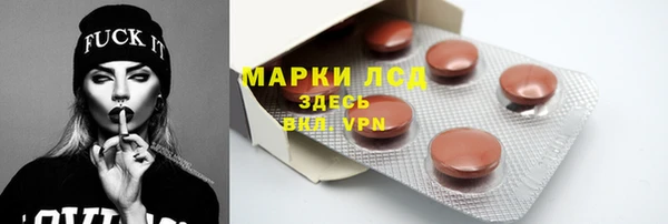 PSILOCYBIN Алзамай