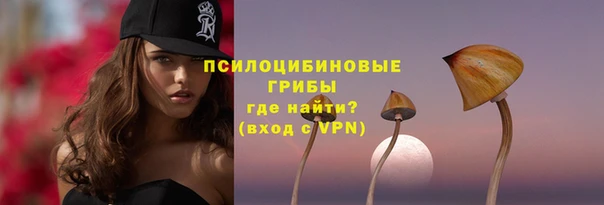 амф Алексин