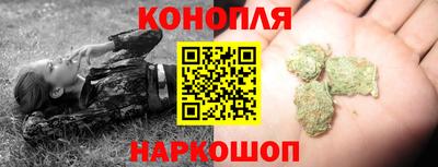 гидропоника Будённовск