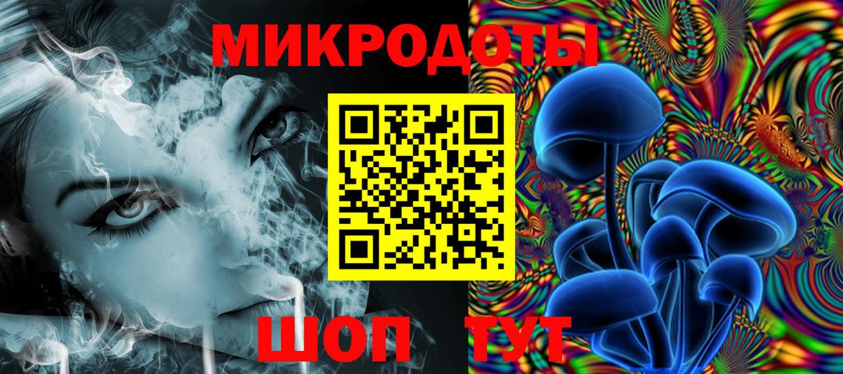Псилоцибиновые грибы Psilocybe Балаково
